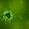 В Тверской области не подтвержден коронавирус у пациента с подозрением на инфекцию