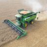 В Тверской области побит рекорд по урожайности озимой пшеницы за последние 15 лет